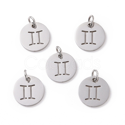 Non-Tarnish 304 Stainless Steel Charms STAS-Q201-T445-3S-1