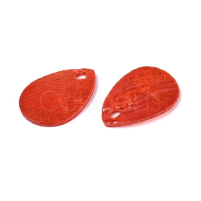 Spray Painted Capiz Shell Charms SSHEL-T006-10C-1