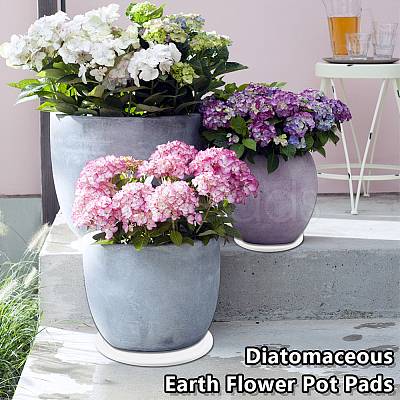 3Pcs 3 Styles Diatomaceous Earth Flower Pot Pads DIY-OC0014-84B-1