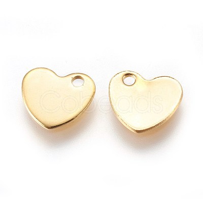 304 Stainless Steel Charms STAS-E447-23G-1