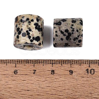 Natural Dalmatian Jasper European Beads G-P520-05E-1