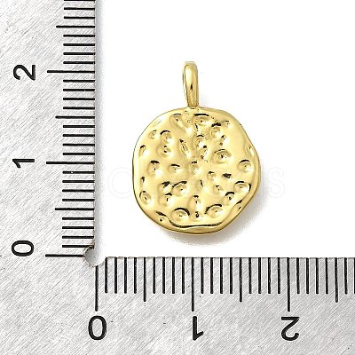 Brass with Enamel Pendants KK-D295-31G-01-1
