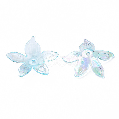 Transparent Acrylic Beads MACR-S373-102-C05-1