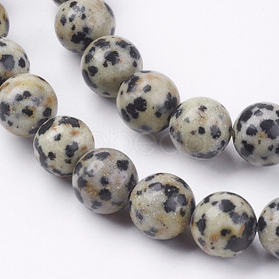 Natural Dalmatian Jasper Stone Bead Strands G-R193-14-8mm-1