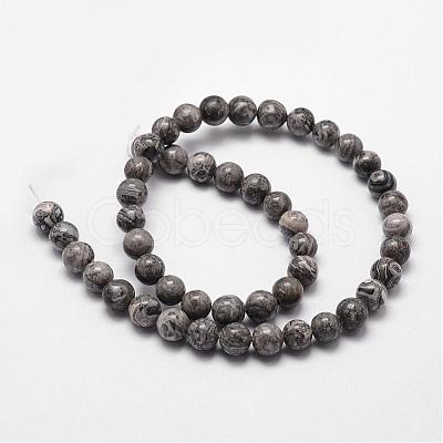 Natural Map Stone/Picasso Stone/Picasso Jasper Bead Strands G-D840-60-10mm-1