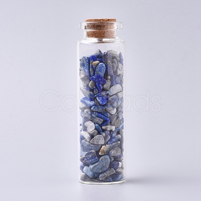 Glass Wishing Bottle DJEW-L013-A17-1