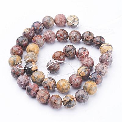 Natural Red Leopard Skin Jasper Beads Strands GSR10mmC066-1