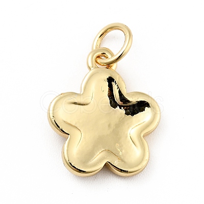 Rack Plating Brass Enamel Charms KK-G387-09G-04-1