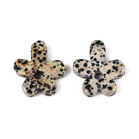 Natural Dalmatian Jasper Pendants G-T142-44H-1