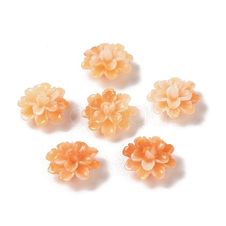 Synthetic Shell Dyed Beads SHEL-C006-01A-1