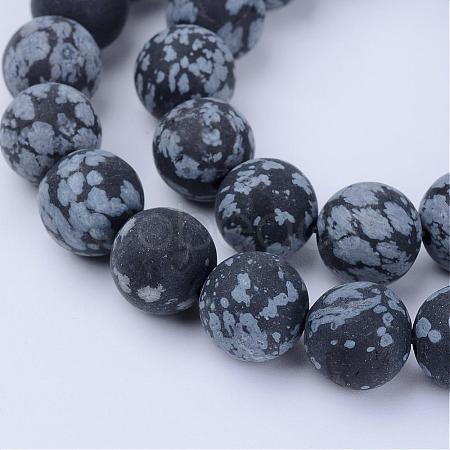 Natural Snowflake Obsidian Beads Strands G-Q462-6mm-10-1