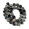 Natural Eagle Eye Stone Beads Strands G-P534-A14-02-3
