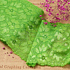 Stretch Elastic Lace Trim OCOR-TAC0006-02K-4