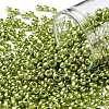 8/0 Glass Seed Beads X-SEED-A017-3mm-1112-1