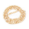 Natural Trochid Shell/Trochus Shell Beads Strands SSHEL-N041-04A-02-2