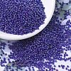 MIYUKI Round Rocailles Beads SEED-X0054-RR0484-1