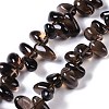 Natural Smoky Quartz Beads Strands G-B072-D01-02-2
