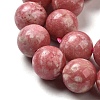 Natural Thulite Beads Strands G-Z044-A02-04-4