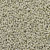 MIYUKI Round Rocailles Beads SEED-G007-RR0181-4
