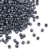 MIYUKI Delica Beads X-SEED-J020-DB0301-1