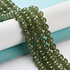 Natural Nephrite Jade/Hetian Jade Beads Strands G-NH0005-030C-2