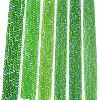 Electroplate Glass Beads Strands LS-EGLA-A044-T8mm-L11-2