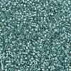 MIYUKI Delica Beads SEED-X0054-DB1767-3