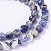 Faceted Natural Sodalite Round Bead Strands G-L377-45-6mm-1
