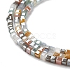 Gradient Color Electroplate Glass Bead Strands GLAA-E042-05-B05-4