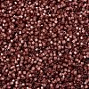MIYUKI Delica Beads SEED-X0054-DB2179-3