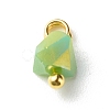 Electroplate Glass Charms PALLOY-JF00821-04-4