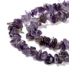 Natural Amethyst Chips X-Z0RRN-3