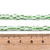 Handmade Lampwork Beads Strands BLOW-K001-01A-18-3