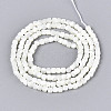 Natural Trochid Shell/Trochus Shell Beads Strands SSHEL-N041-04A-01-2