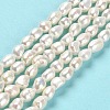 Natural Cultured Freshwater Pearl Beads Strands PEAR-E016-066-2