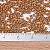 MIYUKI Delica Beads SEED-JP0008-DB2287-4