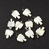Natural Trochid Shell/Trochus Shell Pendants SSHEL-M021-10-1