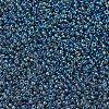 MIYUKI Round Rocailles Beads X-SEED-G007-RR2459-3