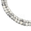 Natural Howlite Beads Strands G-C181-B03-02-4