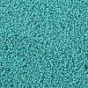 TOHO 11/0 Round Beads SEED-JPTR11-0055-2