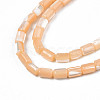 Natural Trochid Shell/Trochus Shell Beads Strands SHEL-N003-26-B06-3