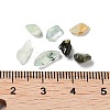 Natural Prehnite Chips Beads G-M428-04B-3