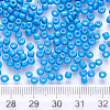 8/0 Baking Paint Glass Round Seed Beads SEED-S036-01B-11-3