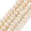 Natural Cultured Freshwater Pearl Beads Strands PEAR-C003-06B-2