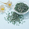 6/0 Glass Seed Beads SEED-YW0001-25F-6