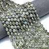 Natural Labradorite Beads Strands G-C116-A65-02-1