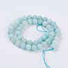 Natural Amazonite Beads Strands G-J376-19F-8mm-2