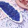 100G Glass Seed Beads SEED-SZ0001-027C-3