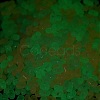 Luminous Transparent Acrylic Beads LACR-D009-01H-3
