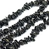 Natural Black Tourmaline Chip Bead Strands G-L444-08-2